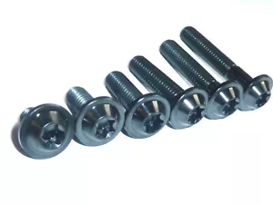 MOTOCROSS BLACK M6 10-35 Fairing Titanium Low Profile T30 Torx Washer Head Bolt - Picture 1 of 24