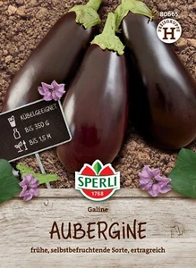 Berenjena " Galine F1" variedad autofecundadora muy temprana semillas de alto rendimiento  - Imagen 1 de 2