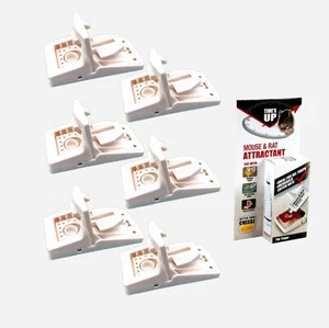 Powerful Mouse Traps x6 (Six Traps) Heavy Duty and Attractant Australian Stock! - Picture 1 of 3