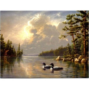 New Leanin' Tree Greeting Card Get Well Ducks By Joe Hautman 5.5" x 7" - Picture 1 of 4