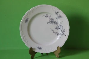 Seltmann Weiden Julia Blaue Ranke Kuchenteller Teller 19 cm 43729 - Picture 1 of 1