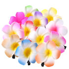  Hawaiian Flowers for Hair Accessories Toppers Frangipani Rose