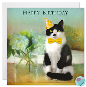 Chat Carte Anniversaire Thank You Get Well Soon note ou de Ragdoll Cat Lover
