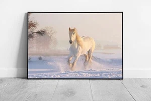 Majestic White Horse Galloping Through Snow - Framed Wall Art Print for Modern - Picture 1 of 10