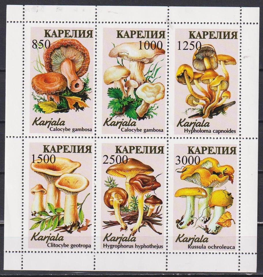 Mint stamps in miniature sheet Flora Mushrooms  from Karelia Russia   avdpz - Image 1 of 1