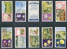 PRIORY TEA 1963 - WILD FLOWERS - PICK YOUR CARD