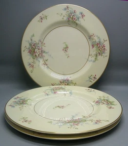 Haviland APPLEBLOSSOM großer Speiseteller 3er Set - Bild 1 von 3