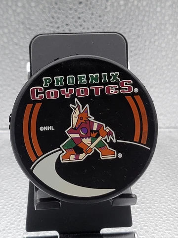 Phoenix Coyotes NHL Hockey Puck Shadow Series InGlasCo! Cover