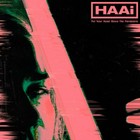 Put Your Head Above The Parakeets by Haai (Record, 2020)