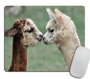 Funny Alpaca Rubber Gaming Mouse Pad Typography Office Work Station Decor - Picture 1 of 6