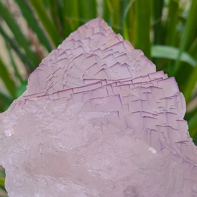 Muestra mineral de cristales de fluorita cúbica natural Step Wise de 630 g Foto 1 de 4