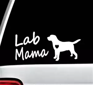 Calcomanía de laboratorio mamá labrador mamá perro pegatina labradoodle regalo accesorios arte M1128 - Imagen 1 de 3