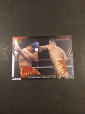 2000 Epoch K-1 Grand Prix Andy Hug Sp-11 career Best Bouts kickboxing Card
