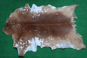 New Goat hide Rug Hair on Area Rug Size 38"x26" Animal Leather Goat Skin U-1835 - Picture 1 of 3