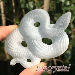 3" Natural Selenite Snake Skull Carved Quartz Crystal Skull Crystal Gift 1pc - Foto 1 di 9