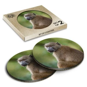 2 x Box Runde Untersetzer - Wild Olive Pavian Affe Affe #21132 - Bild 1 von 7