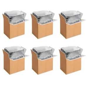 6 Pack Insulated Shipping Boxes with Aluminum Foil Liner,Thermal Insulation Cold - Picture 1 of 4