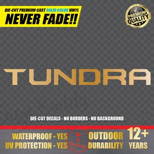 Tailgate Letters Vinyl Decals Insert Inlay Stickers fit for TUNDRA 2014 - 2021 - Picture 1 of 17