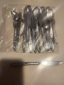Vintage 47 Pcs. Oneida Community My Rose Stainless Flatware Silverware LOT MCM - Picture 1 of 3