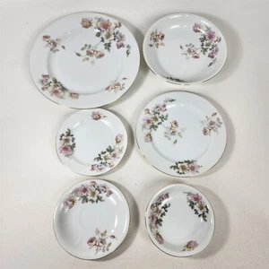 Epiag 02460 Pink & White Flowers Czechoslovakia 6 Piece Place Setting Plate Bowl - Picture 1 of 10