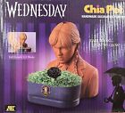 Chia Pet Planter - Wednesday