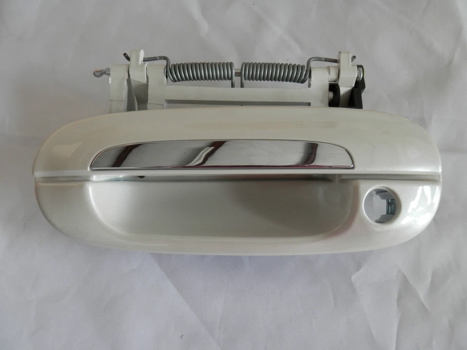 Nueva manija de puerta exterior conductor delantero cerradura OEM 2008-11 Cadillac DTS 20857765 Foto 1 de 1