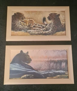 Bilder - Bild 1 von 2