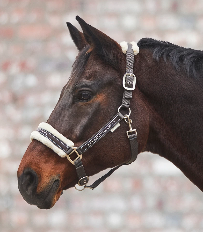 Waldhausen Halfter Elegant weich unterlegt schokobraun braun Plüsch - Bild 1 von 1