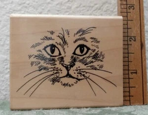 Estampilla cara gato curioso Stampendous V041 colección felina 2001 - Imagen 1 de 5