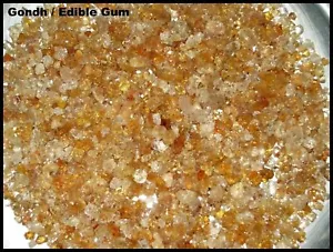 KATIRA GOND TRAGACANTH GUM DINK GOUND Hülsenfrüchte Pflanze GUM Indisch Roh & Ganze Kräuter - Bild 1 von 2