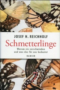 Schmetterlinge: Warum sie verschwinden und was das für uns bedeutet - Imagen 1 de 1