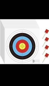 100Pc 16X16In Bullseye Archery Targets W/ 4 Pins - 10 Ring Bow Paper - Picture 1 of 5