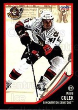 2013-14 Binghamton Senators #6 Jakub Culek