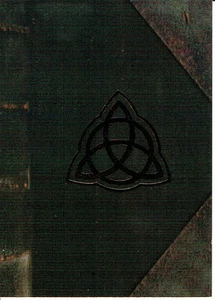 TARJETA LIBRO DE SOMBRAS TEMPORADA ENCANTADA B3 - Imagen 1 de 1