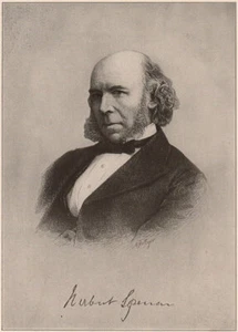 Herbert Spencer. Englisch 1904 altes antikes Vintage Druckbild - Bild 1 von 1