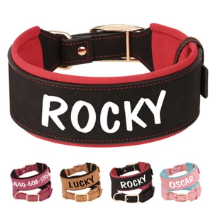 Collar de perro grande de cuero personalizado ancho acolchado con nombre/número - Picture 1 of 30