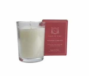 Candela di soia profumata di lusso Aquiesse ribes invernale versata a mano 6,5 once nuova in scatola - Foto 1 di 2