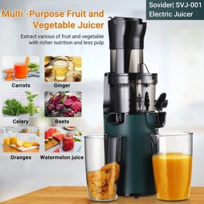 Electric Juicer Machine Juice Fruit Squeezer Slow Masticating Brush Pulp Cup UK - Image 1 of 4