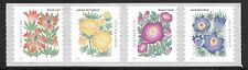 U.S. Scott 5672-5675 Mountain Flora Stamps MNH XF!!!! 5675a Correct Scott Order!