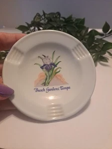 Posacenere vintage ritirato Busch Garden Tampa Porcelana Schmidt Brasile anni 60 4,5 pollici - Foto 1 di 5