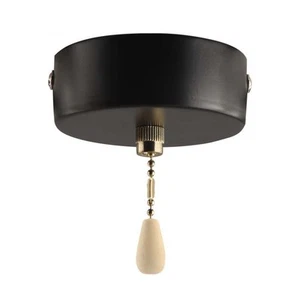 Aesthetic Appeal of White Plastic Ceiling Light Pull Cord Control Device - Picture 1 of 9