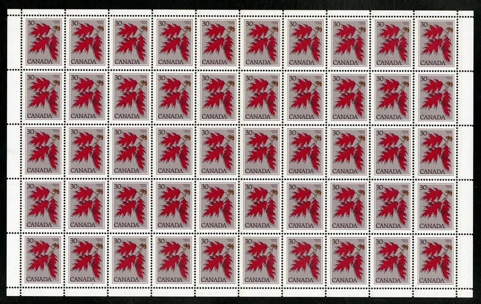 Canada Stamps — Full Pane of 50 — 1979, Tree Issue : Red Oak #720 MNH - Image 1 of 1