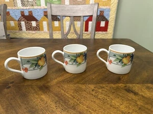 Wedgwood Home 1995 Eden Fine Porcelain Mugs Made in Portugal Peaches Orange - Picture 1 of 4