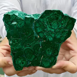 432G Natürlicher glänzender Malachit Transparent Cluster Roh Mineral Probe - Bild 1 von 12