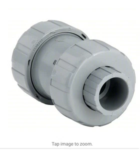 TC20075STE Hayward Check Valve Ball Inline 3/4" Pipe Size NPT TRUE UNION NEW - Picture 1 of 6