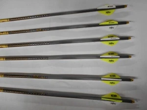 6 Gold Tip Hunter Pro 340 Carbon Arrows w/ Blazer Vanes! CUT TO LENGTH! - Picture 1 of 2