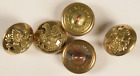1870s-80's US Army Eagle Indian War Lot of 5 Uniform Buttons MS1
