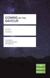 LifeBuilder: Coming of the Saviour - Imagen 1 de 1