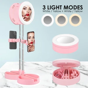 6.3" Non-Magnifying Vanity LED Mirror, Adjustable Height & Brightness, Pink - Picture 1 of 8