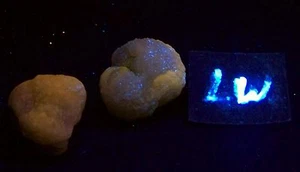 2 Fluorescent Chalcedony Flower Nodules for Mineral Specimens - Picture 1 of 8